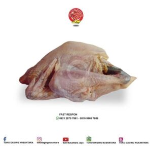 AYAM KAMPUNG