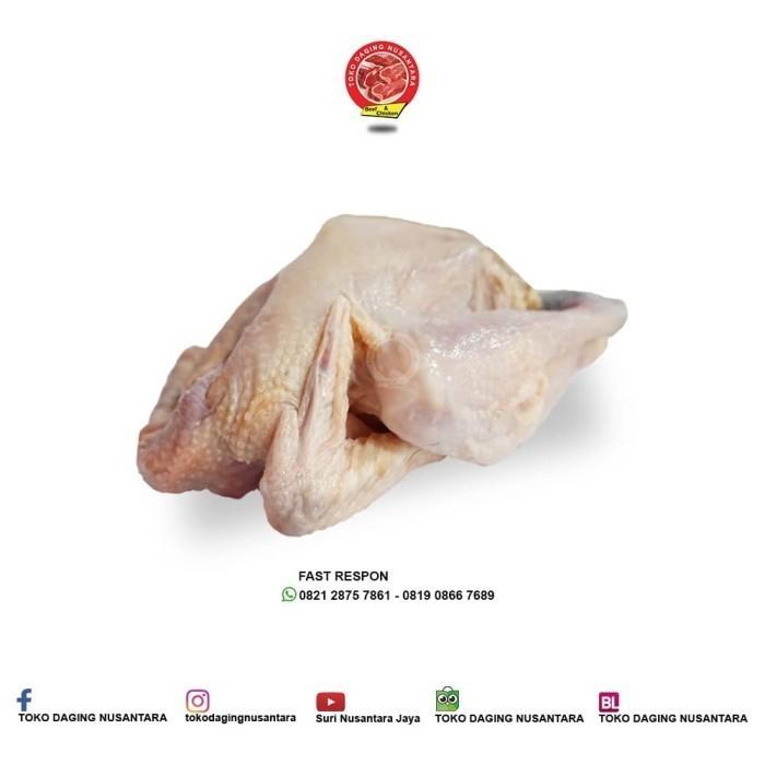 AYAM KAMPUNG